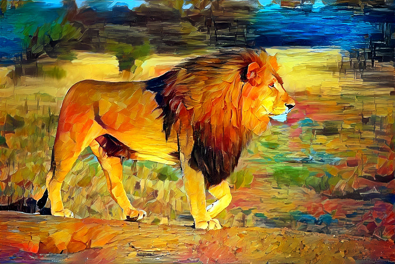 African Lion