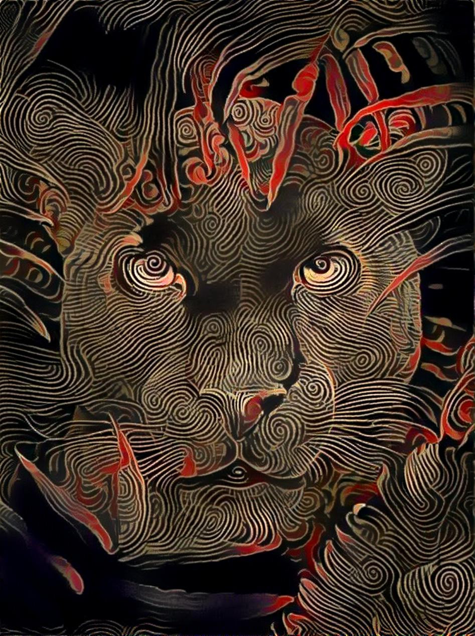 Panther 