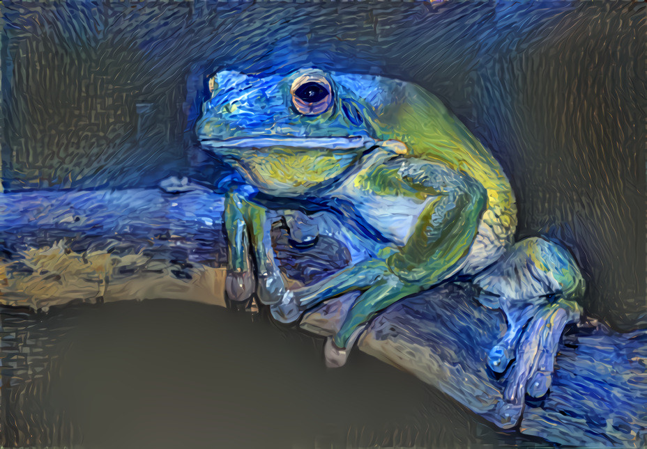 Fractal Frog