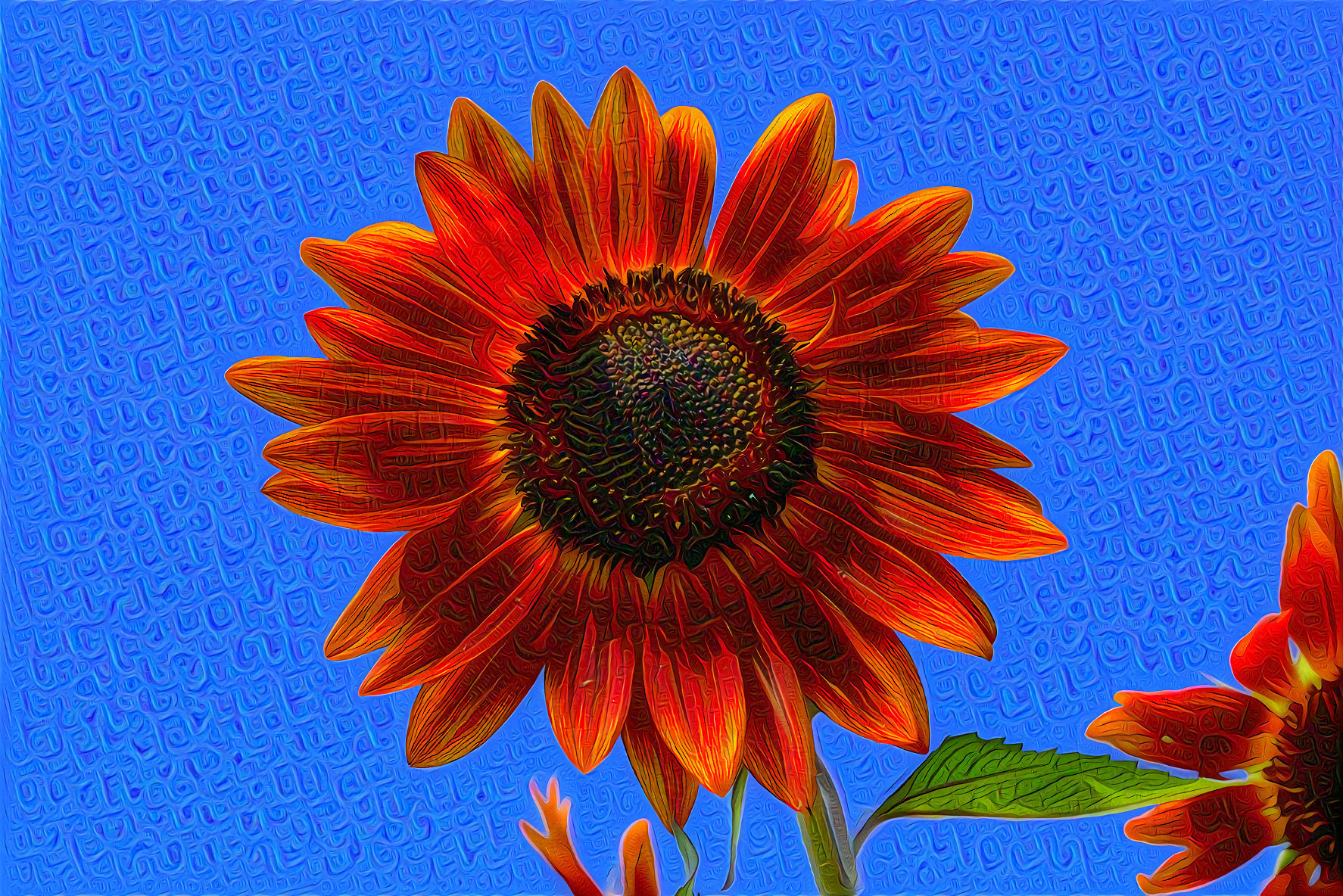 Red Sunflower