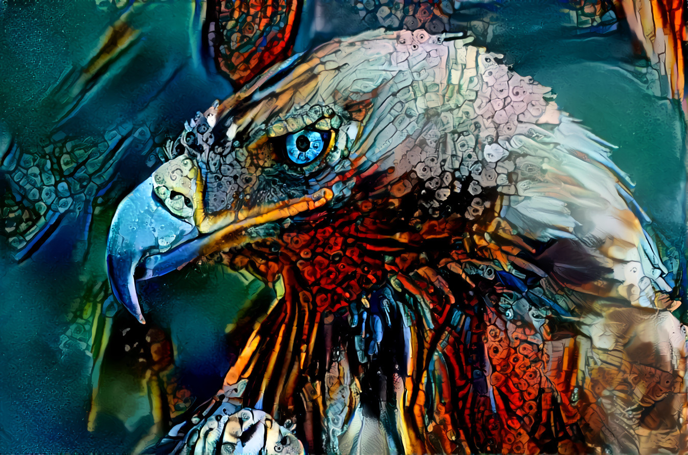 Eagle Eye