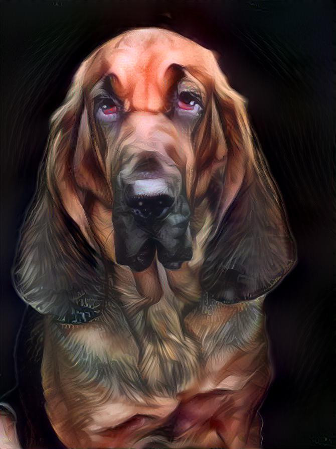 My bloodhound girl Lorenza