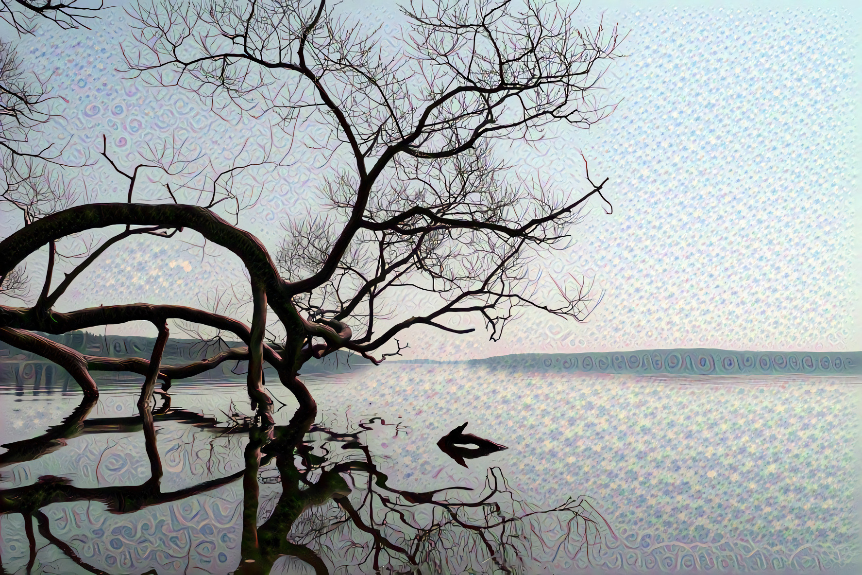 Bare Tree in the Lake