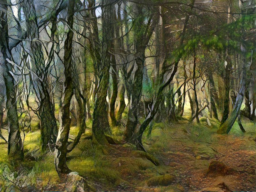 Craggy Trees