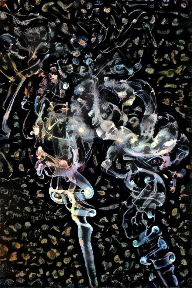 DeepDream in a Deep Ocean