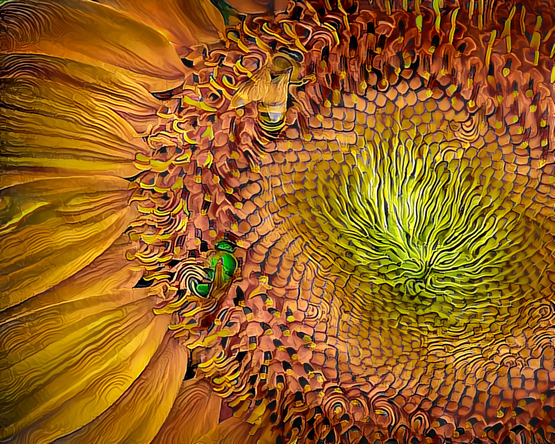 Two on a Sunflower - 06