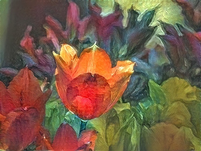 Tulips