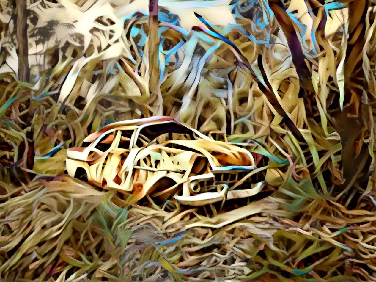 EK Holden found in the bush @ rubber bands