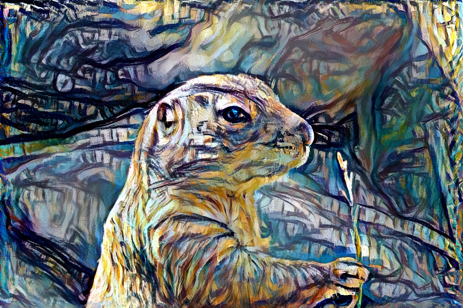 Prairie Dog