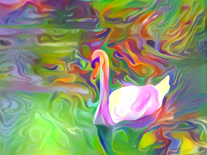 Swan 1