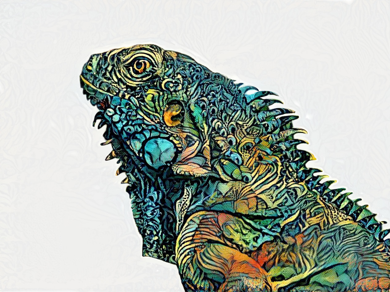 Textile Iguana