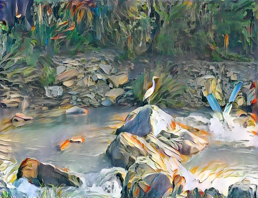 the egrets of a stream