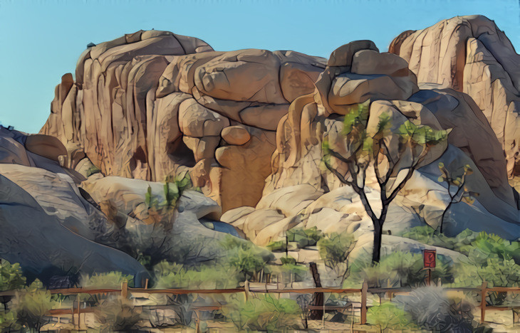 Joshua Tree Parking Area