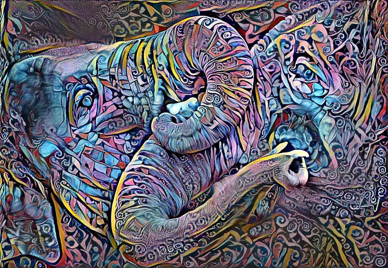 Elephants