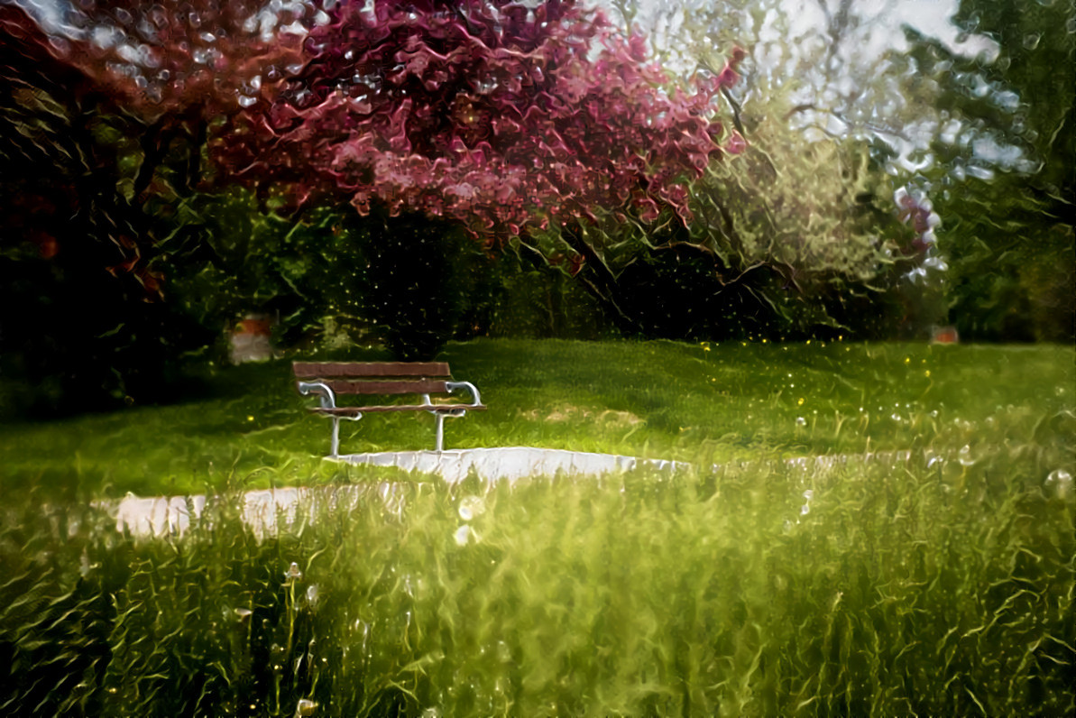 Dreamy Park Bench