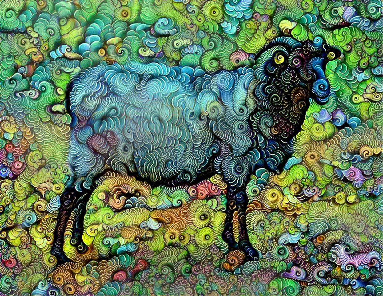 weird sheep