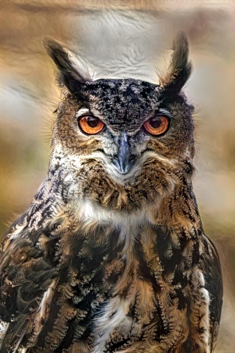 Eurasian Eagle Owl