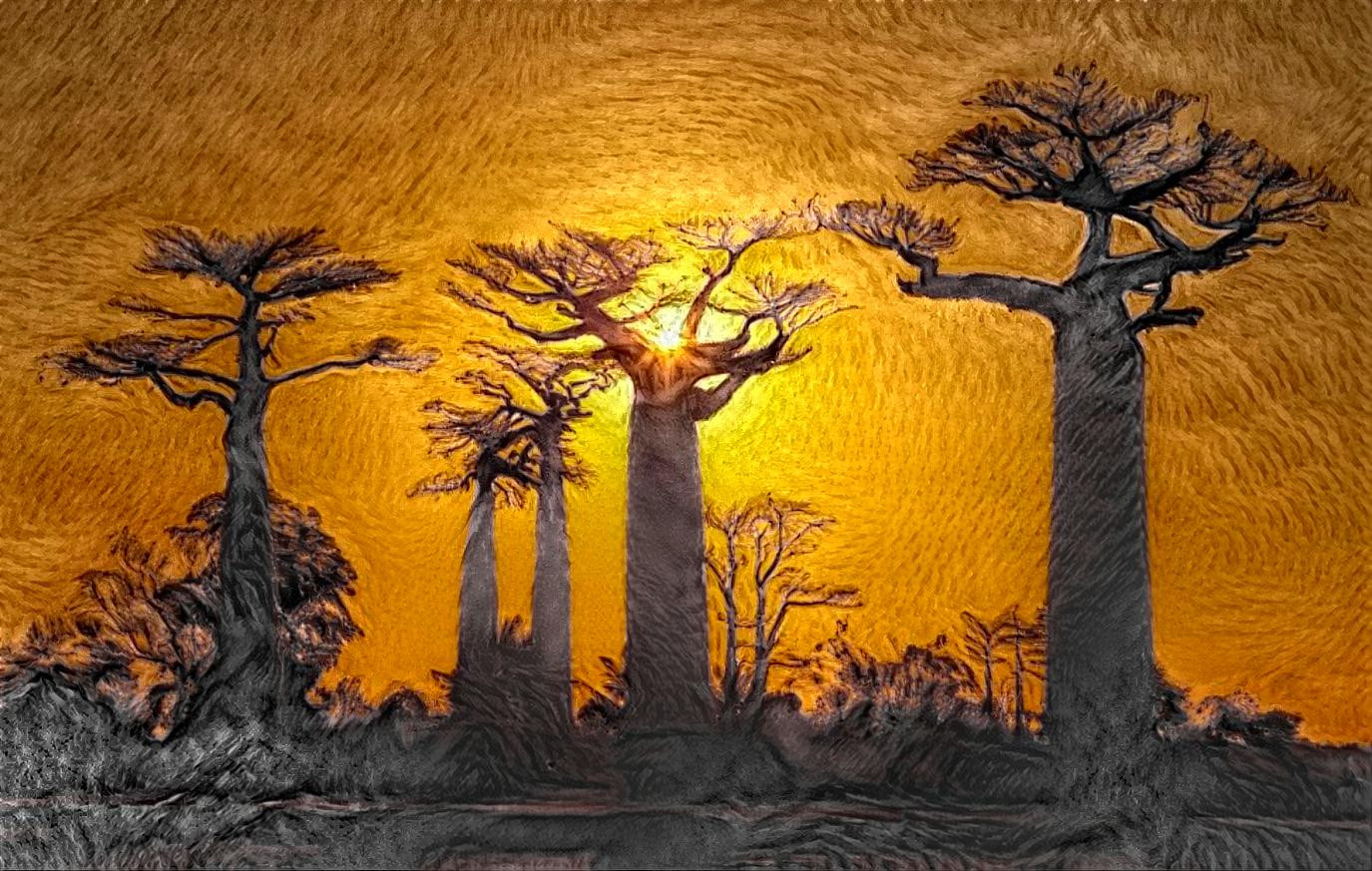 Baobabs