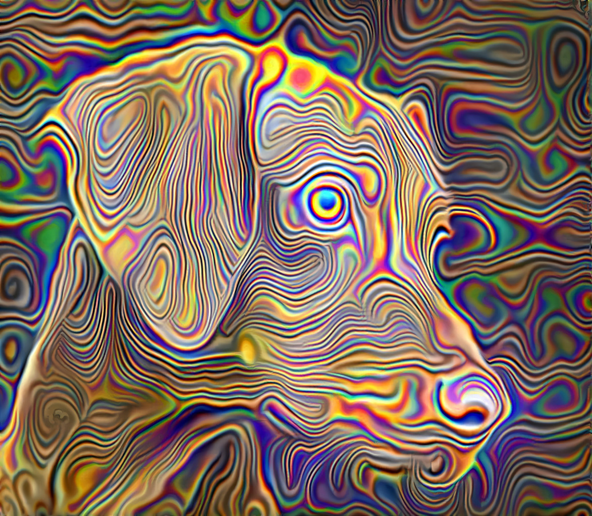 DWP Style Transfer Art