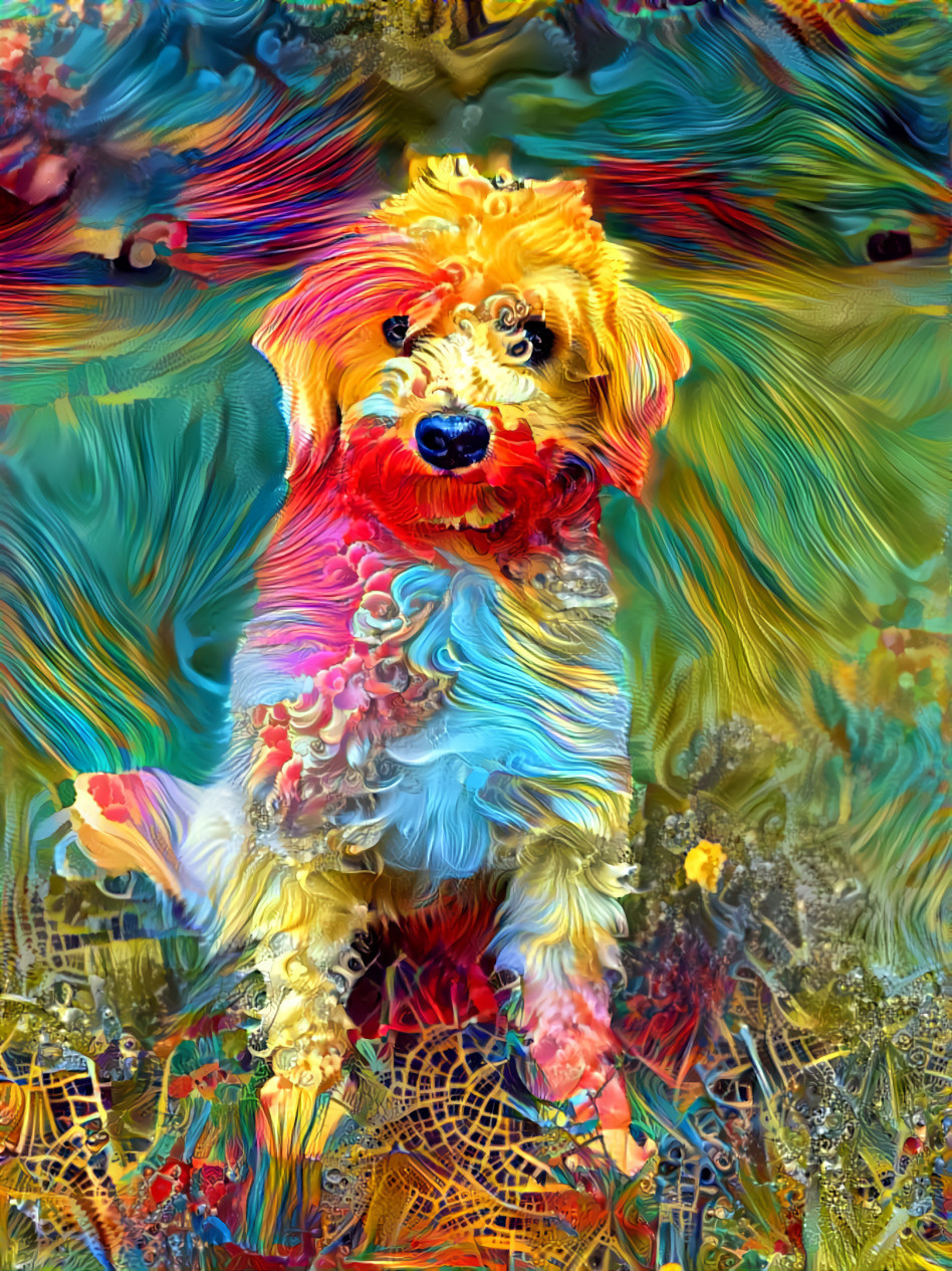 Phoebe (Phi-Phi) Dog Fractals