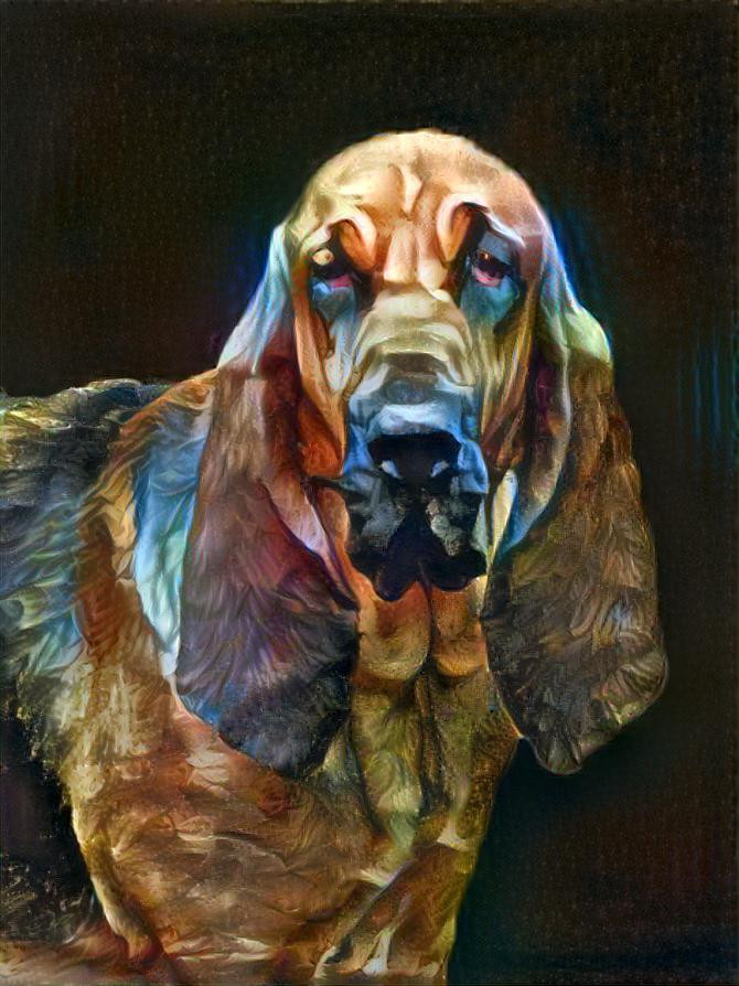 My bloodhound girl Carmen