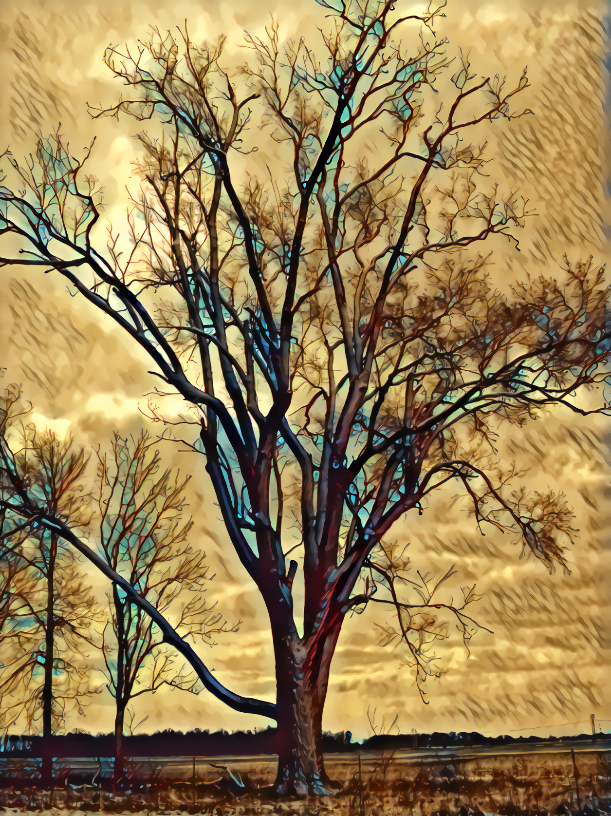 Indiana Winter Tree