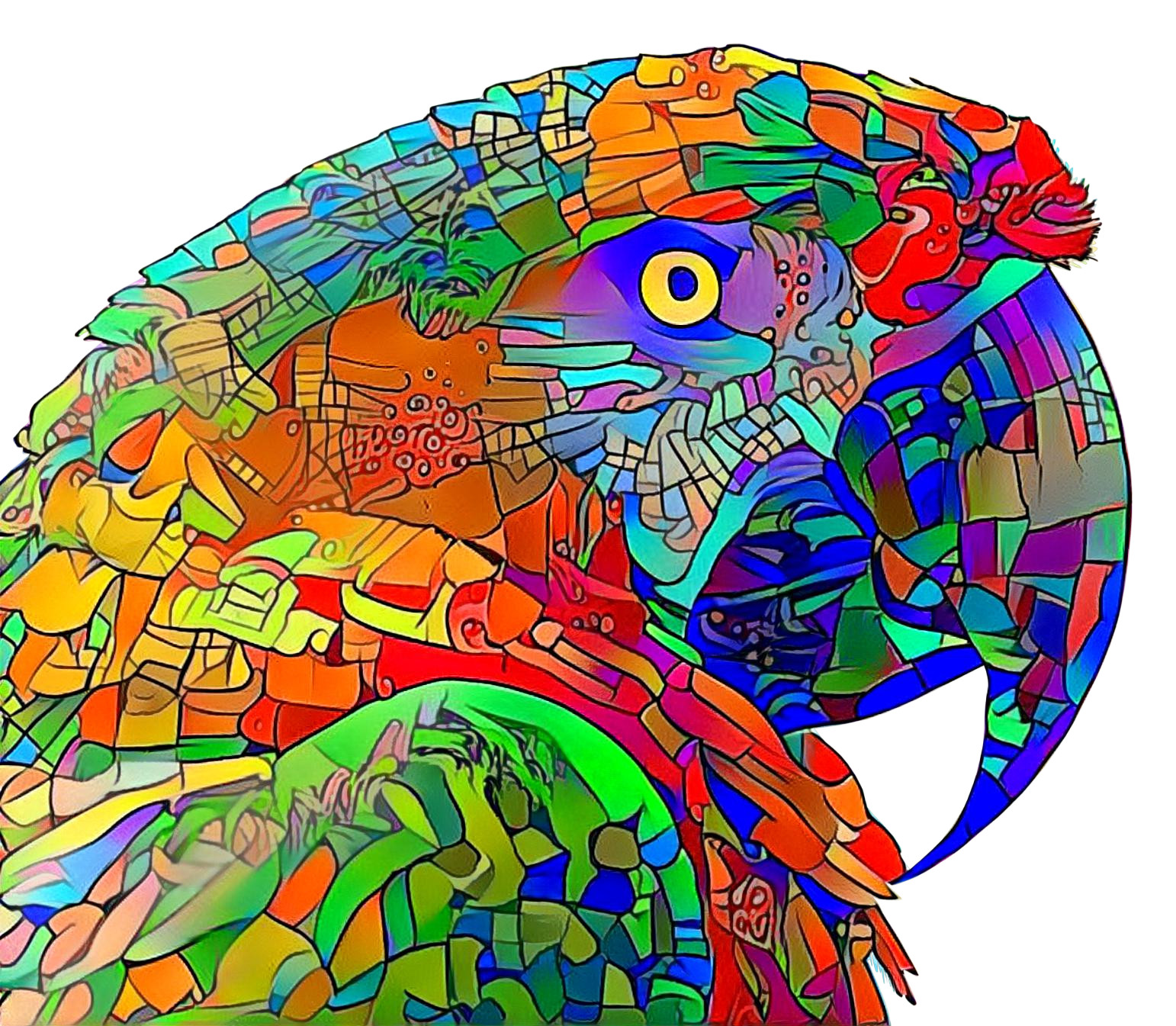 Parrot 2