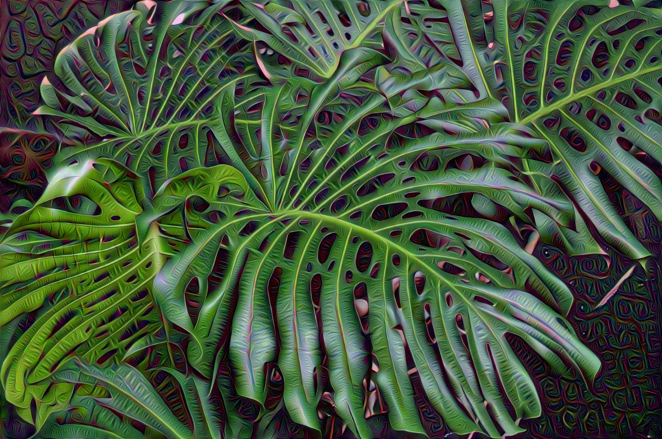 Tropical Leaf