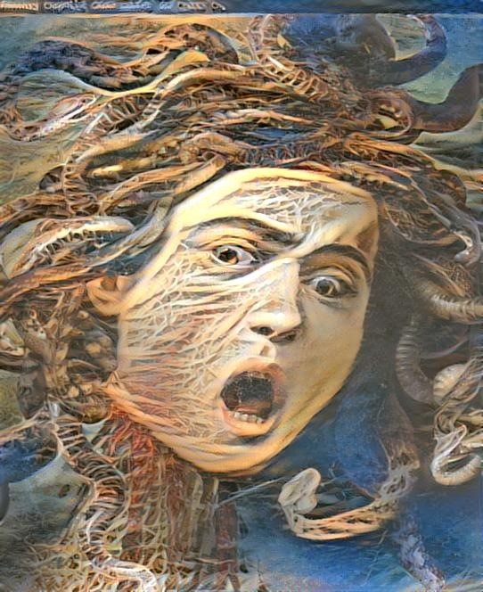 Seaweed Medusa