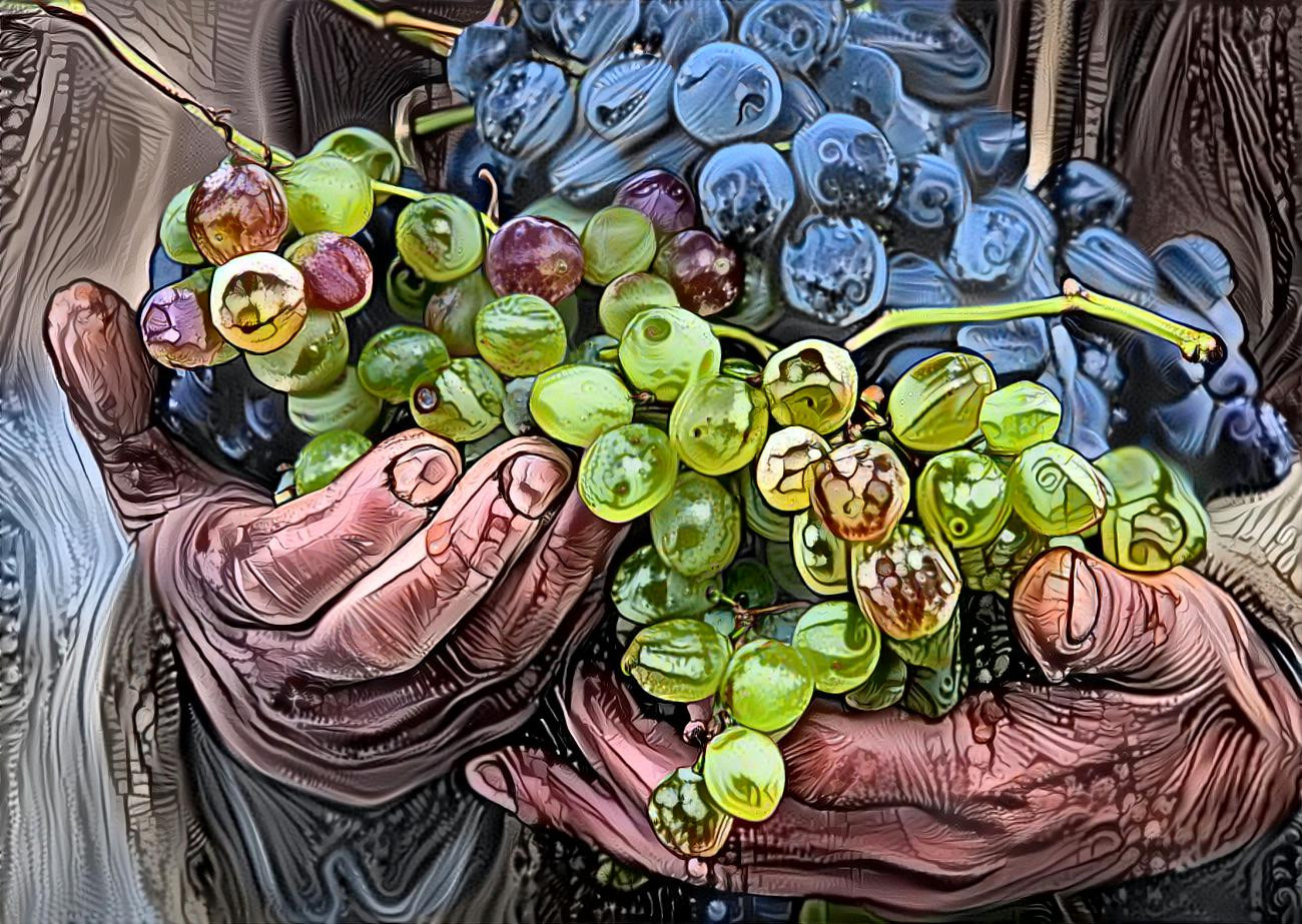 grapes