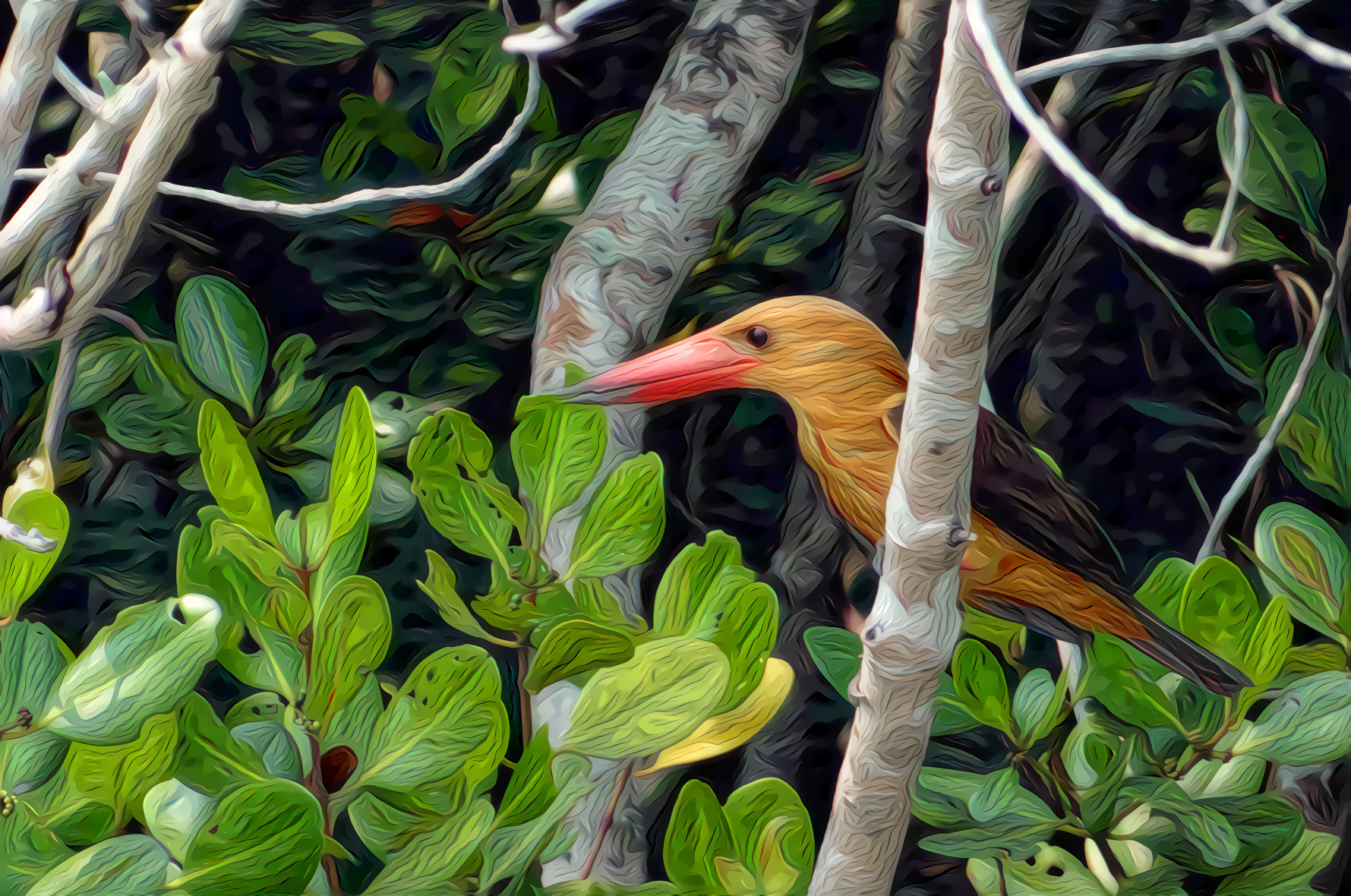 Brown-Winged Kingfisher