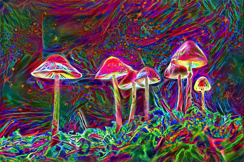 Magic Mushshrooms