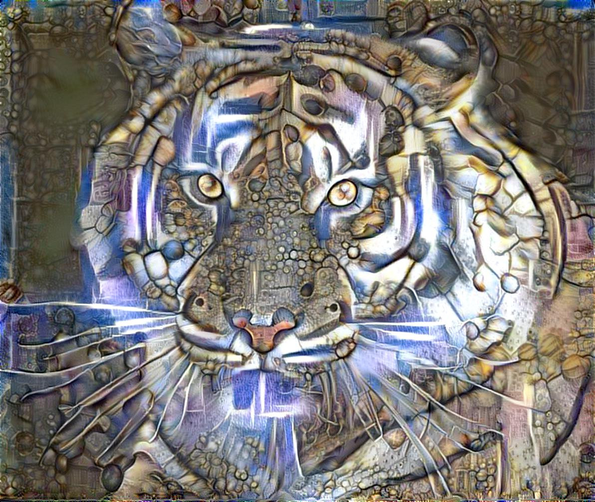 tijger