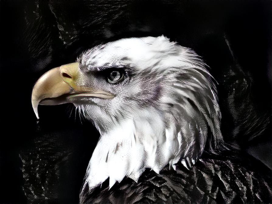 Eagle