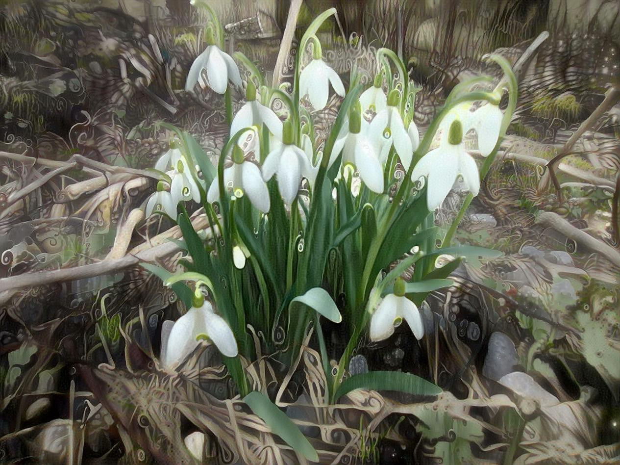 First flowers of spring