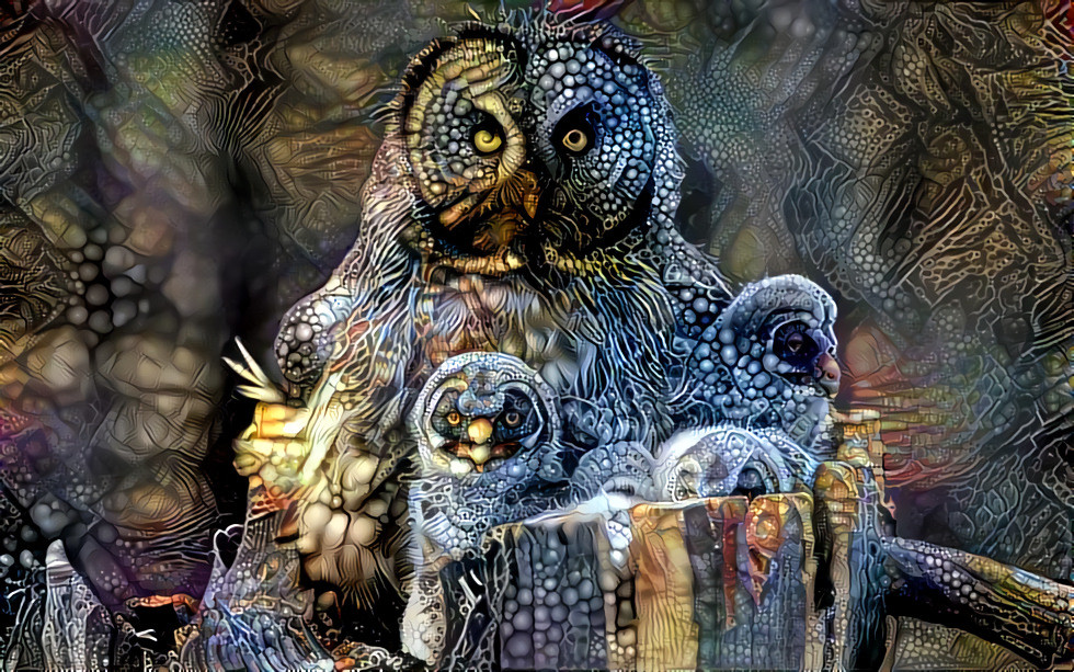 Owls