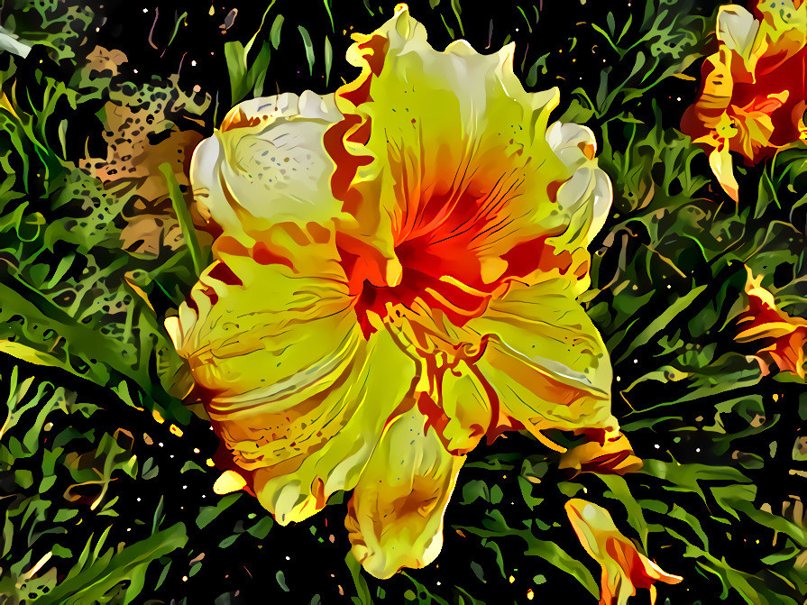 Daylily Dream #1. (Original color preserved)