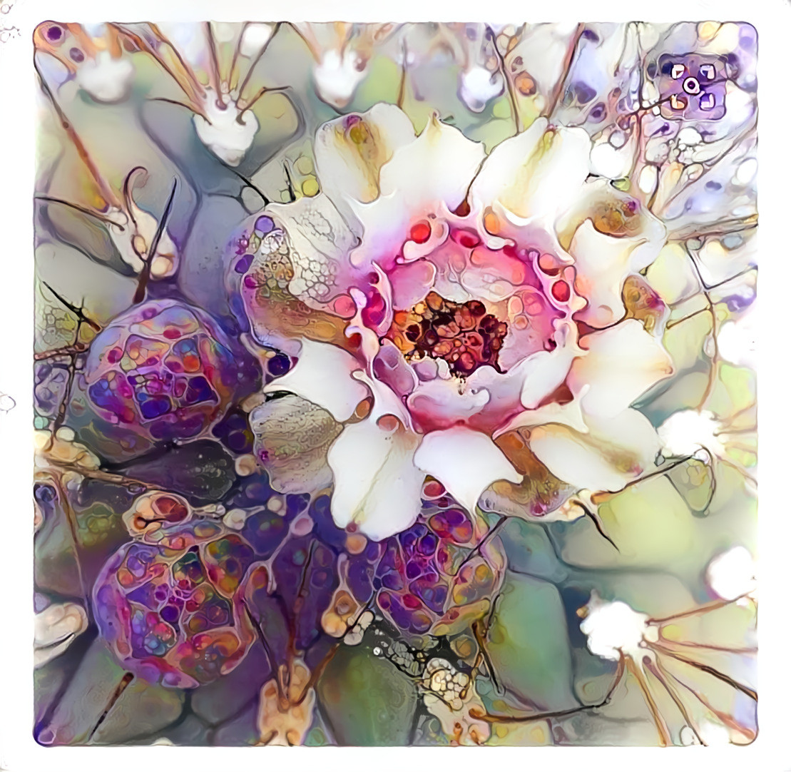 Cactus Flower