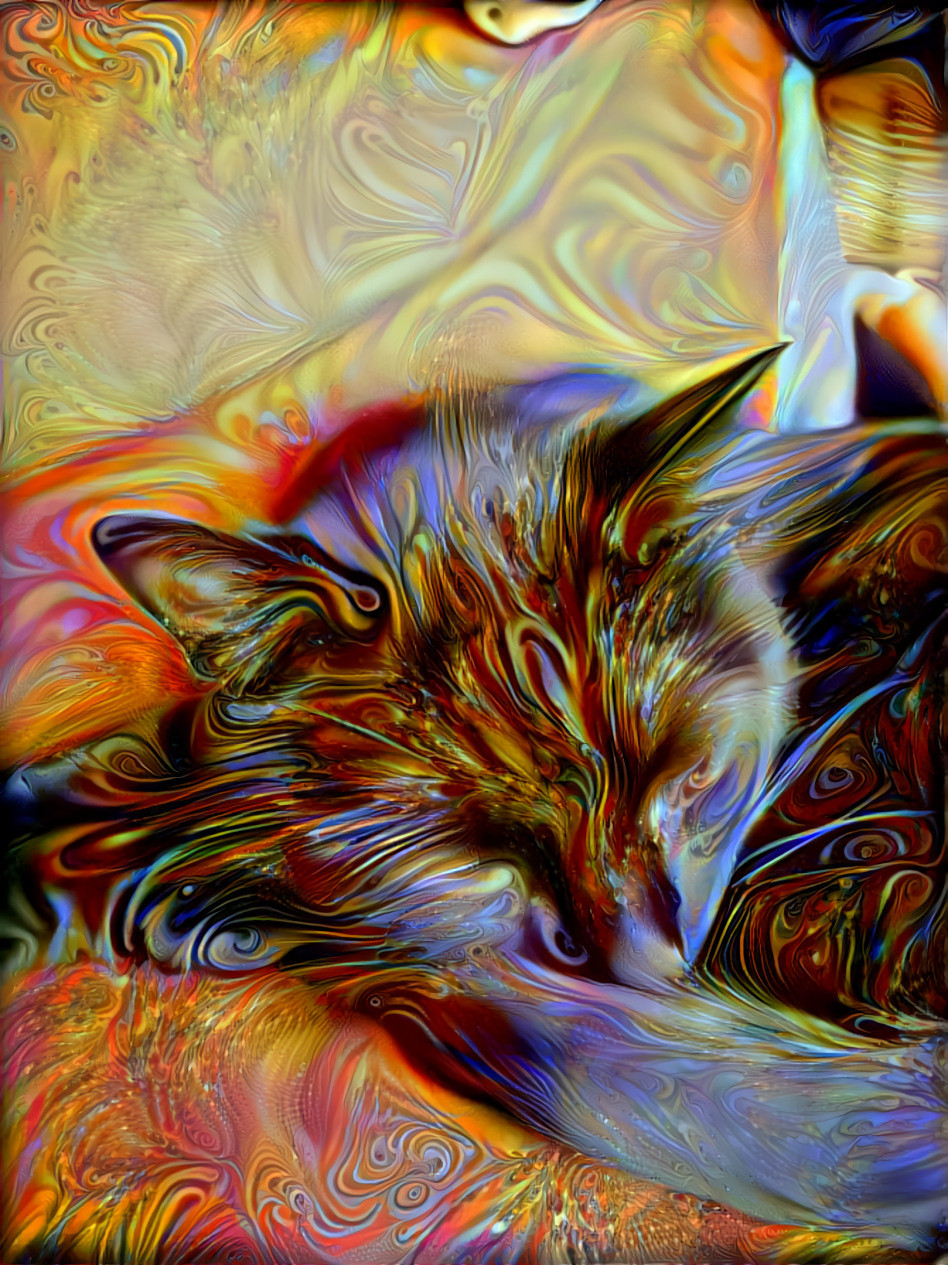 Whirly Cat