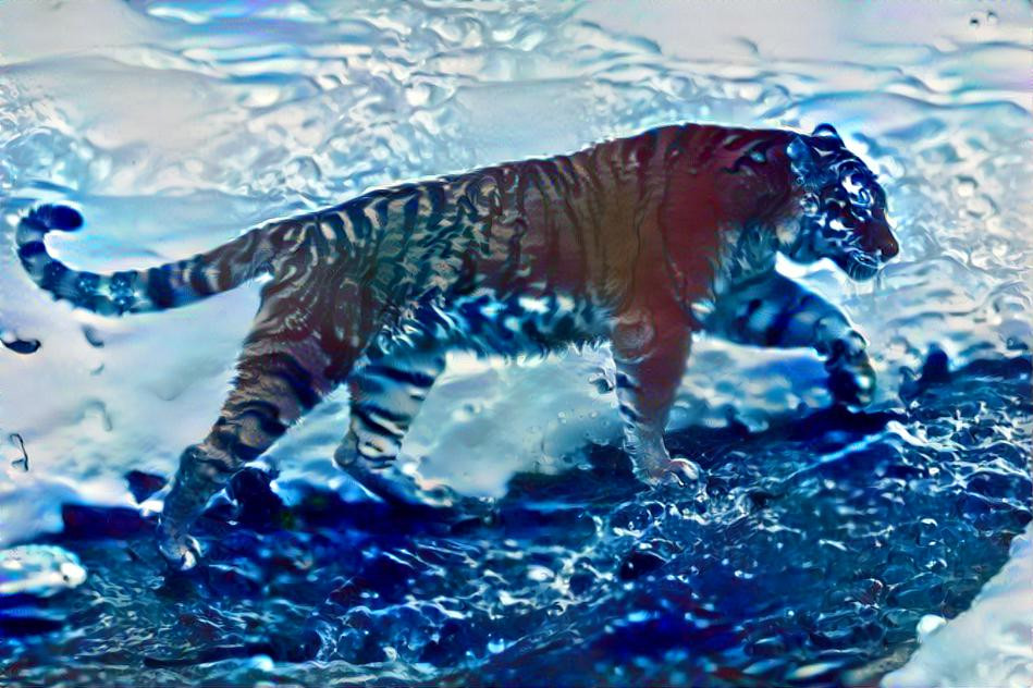 Water Tiger 2022