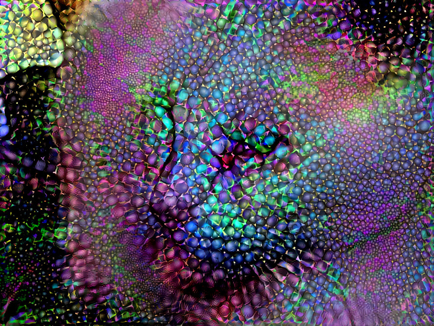 Psychedelic Pussycat 2