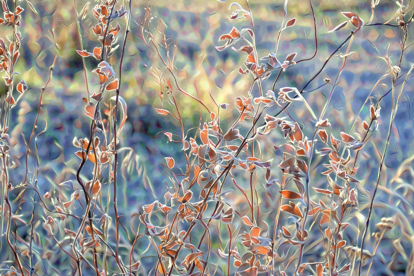 Winter Leaves, Rime Ice