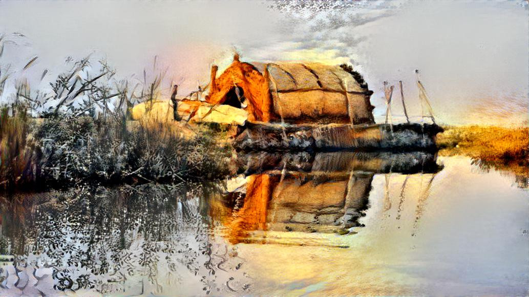 The marshes of Iraq