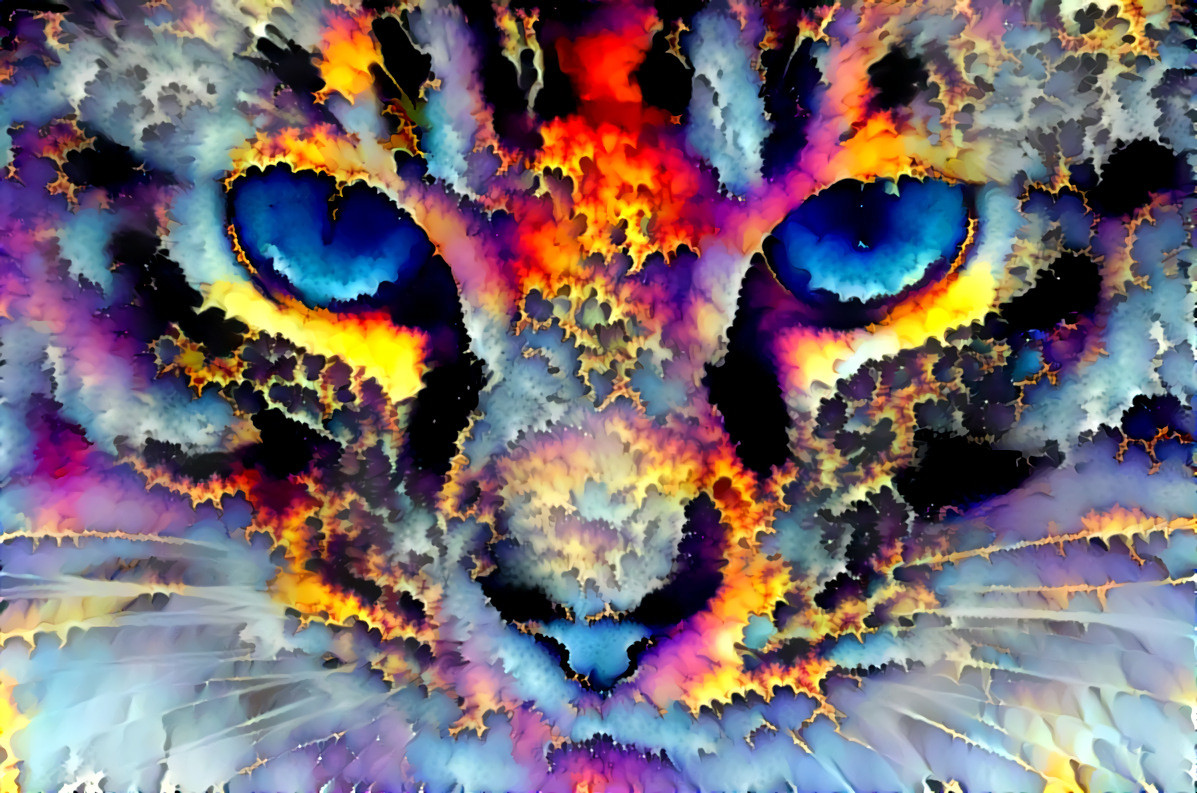 Electric Fractal Cat