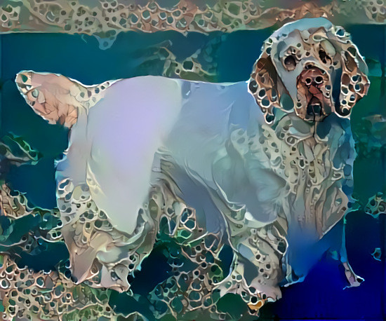 Clumber spaniel