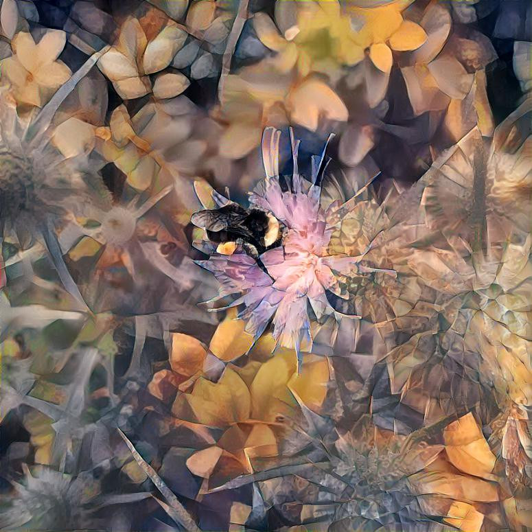 Collecting pollen on a thistle