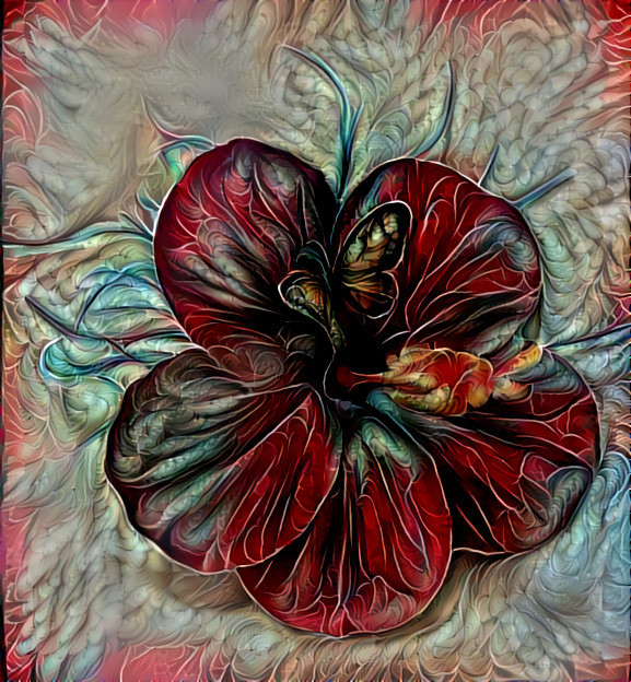 Hibiscus