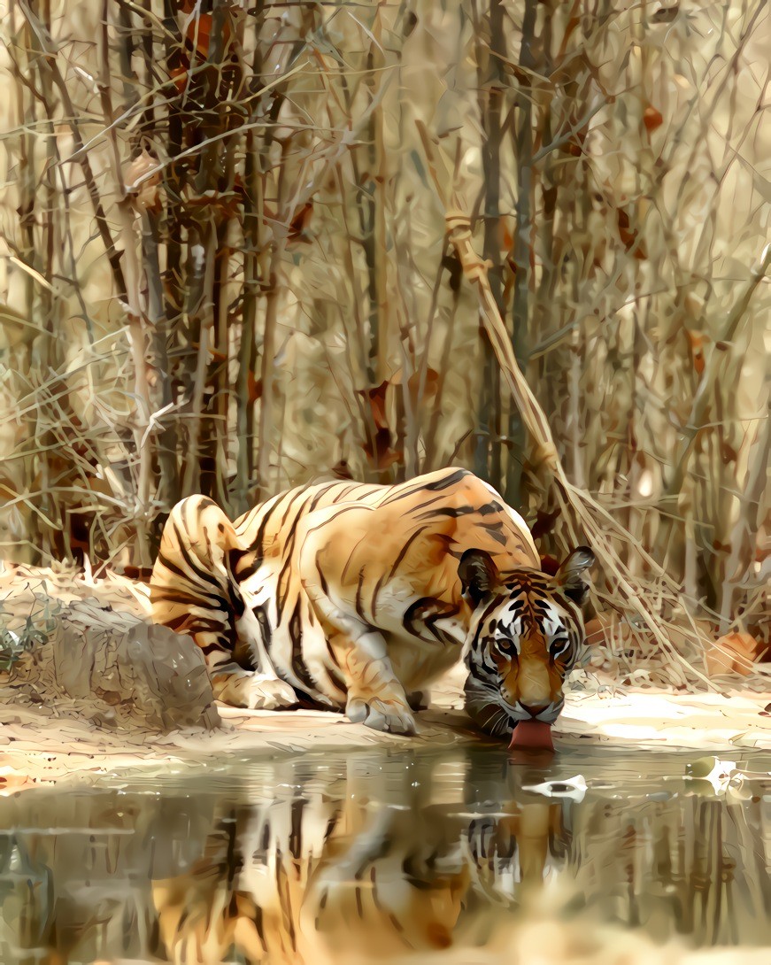 A cautious drink...  yes......I see you....