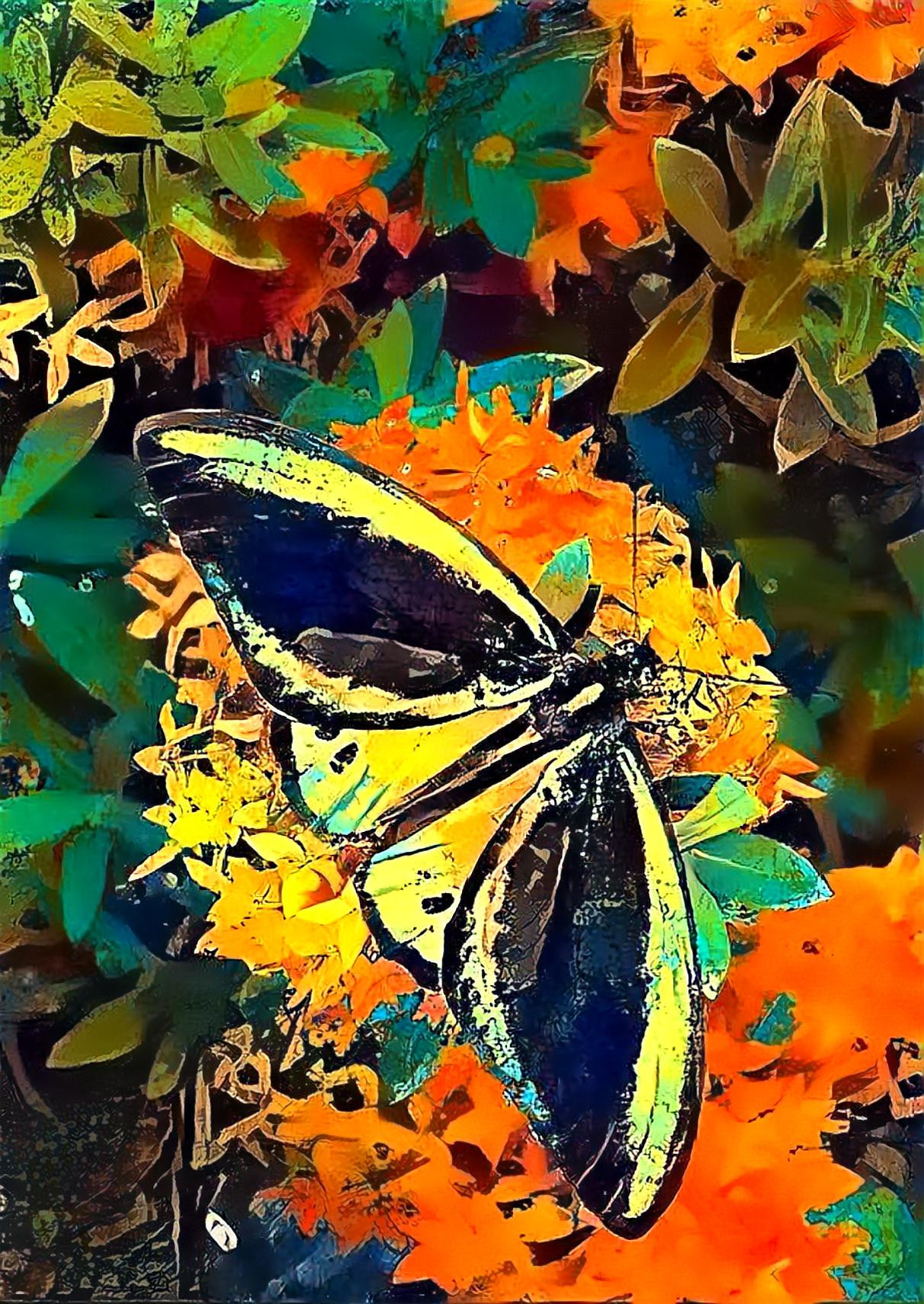 The Butterfly of Summer 