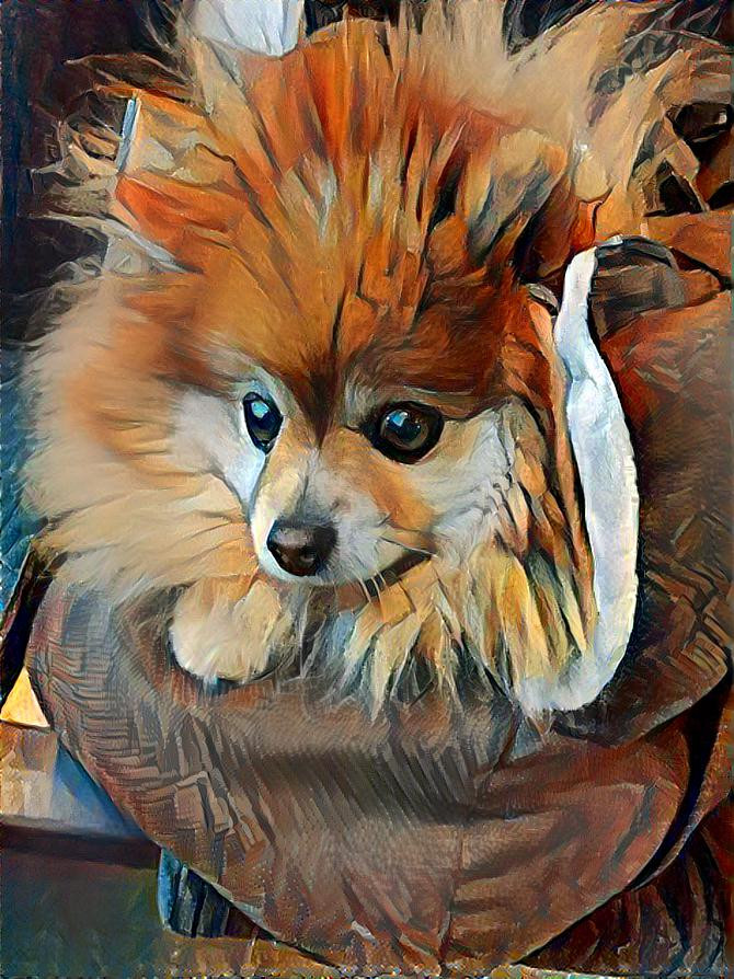 Foxie